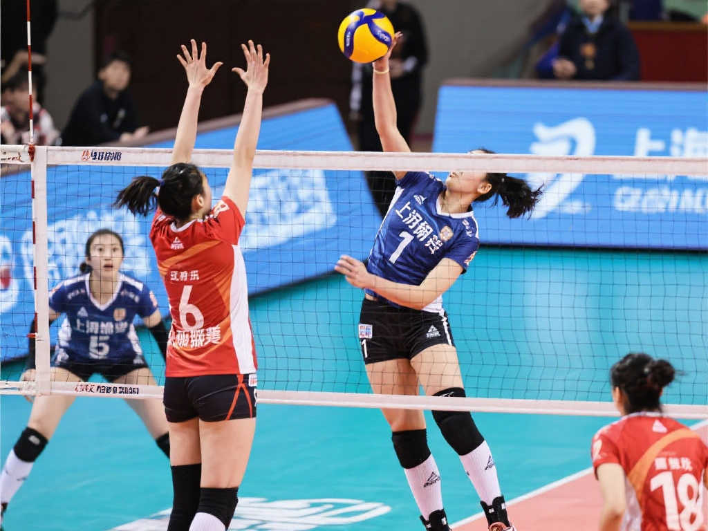 篮球领域